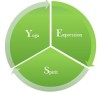 The YES wheel